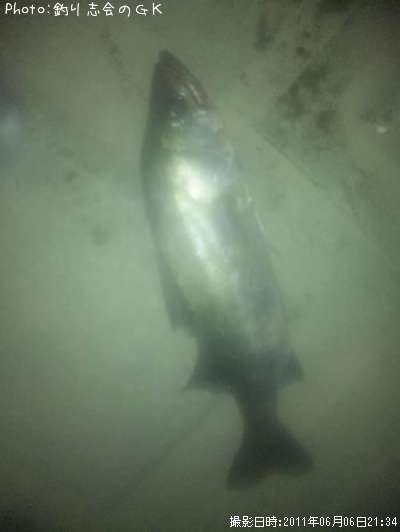 �����Х�