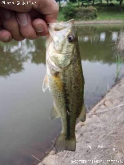 �֥�å��Х�