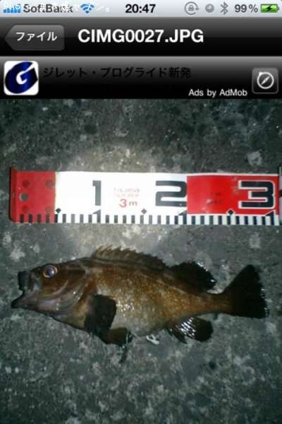 ������Х�