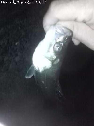 �����Х�