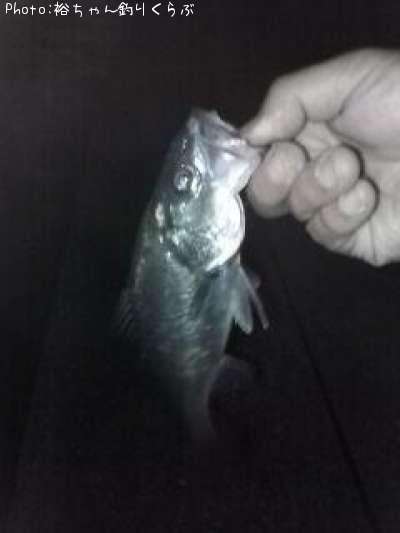 �����Х�