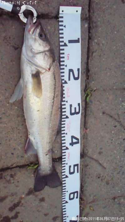 �����Х�