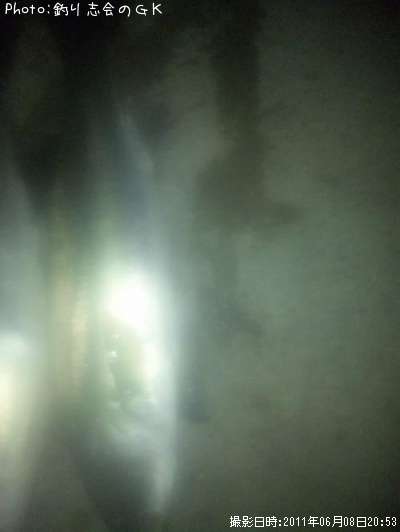 �����Х�