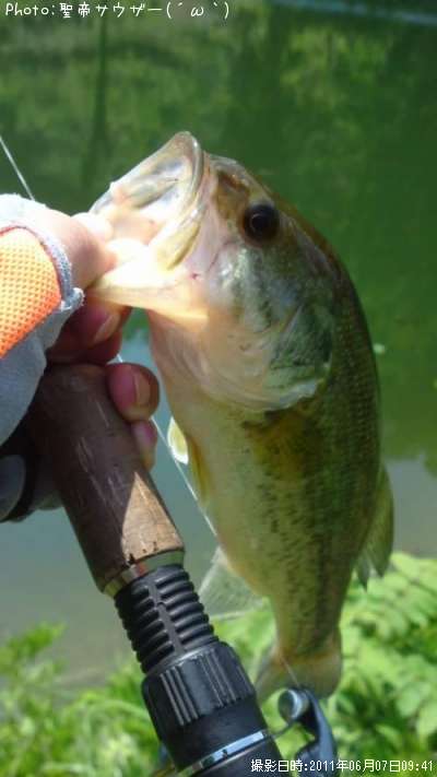 �֥�å��Х�