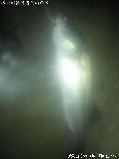 �����Х�