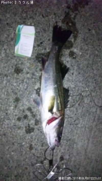 �����Х�