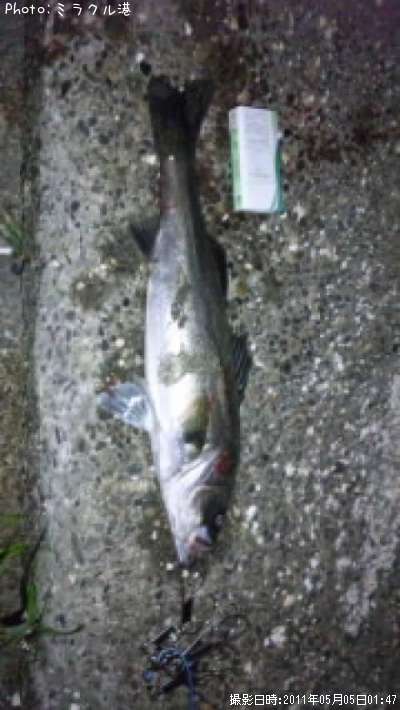 �����Х�