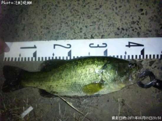 �֥�å��Х�