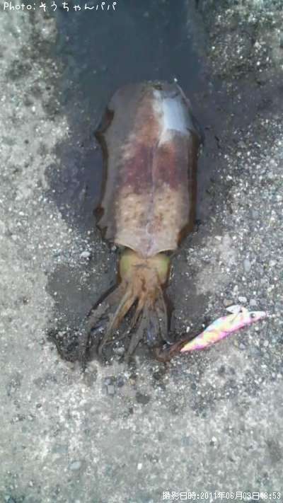 �����ꥤ��