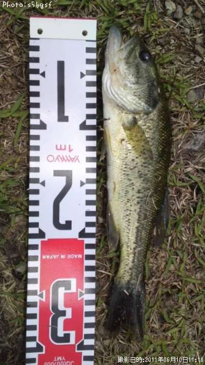 �֥�å��Х�