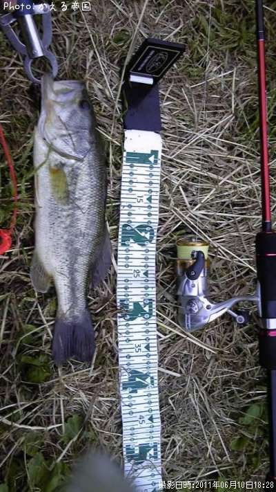 �ȥå��������֥�å��Х����