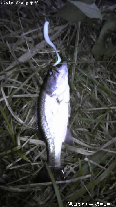 �֥�å��Х�