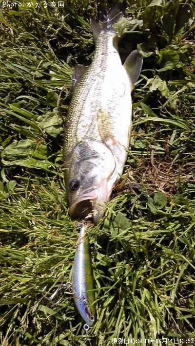 �ȥå��������֥�å��Х�