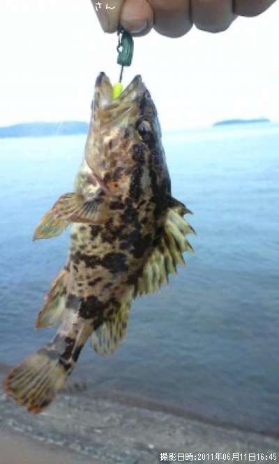 �����Υ���Х�