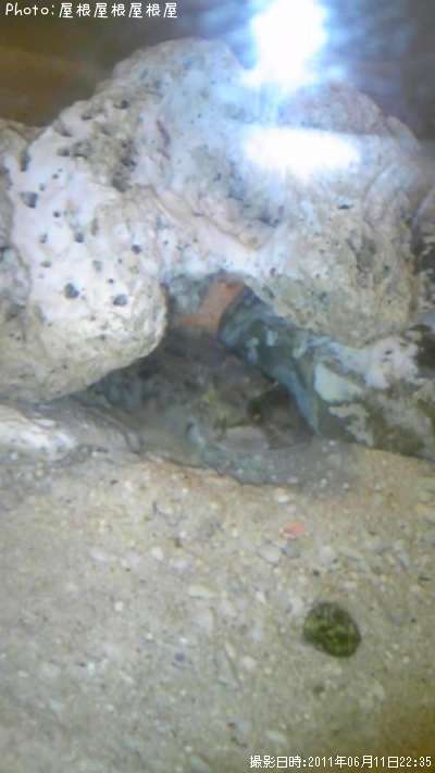 �����ʥᡢ����������