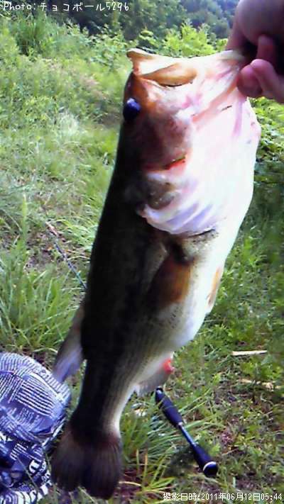 �֥�å��Х�