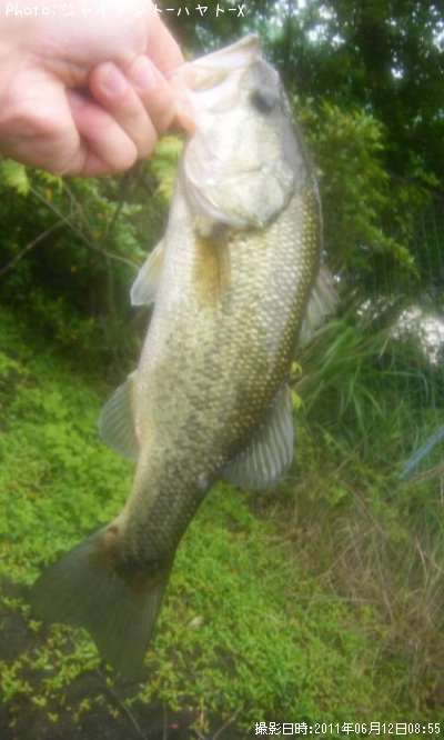 �֥�å��Х�