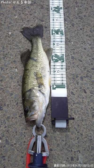 �֥�å��Х�