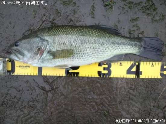 �֥�å��Х�