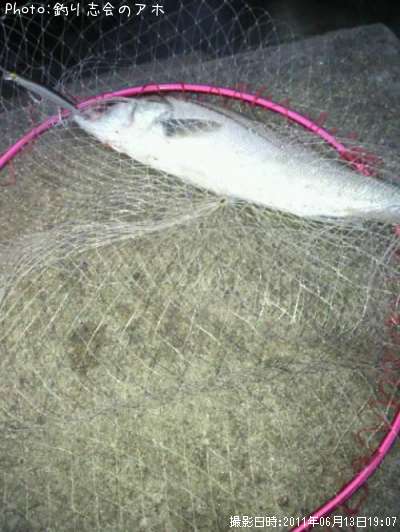 �����Х�