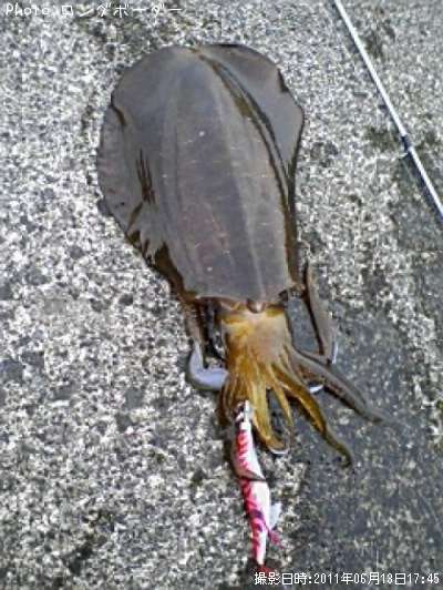 �����ꥤ��