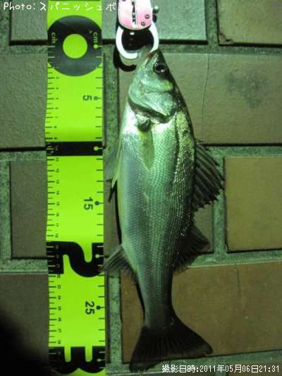 �����Х�