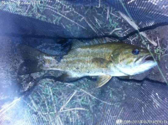 �֥�å��Х�