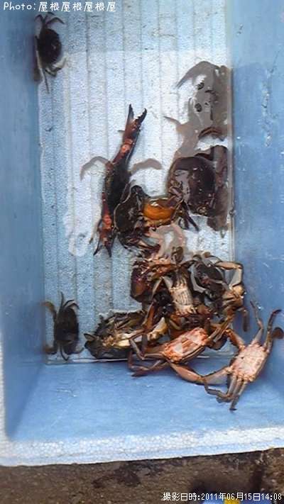 ���ˤ�������