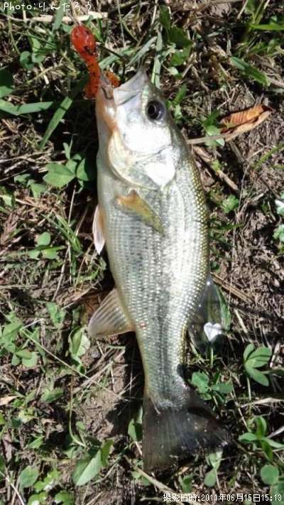 �֥�å��Х�