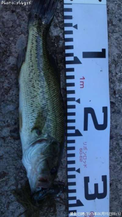 �֥�å��Х�