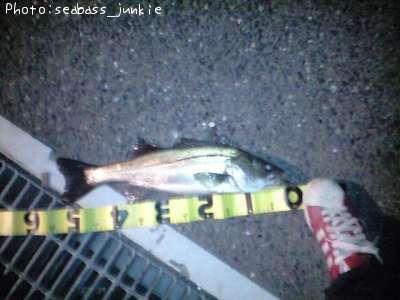 �����Х�