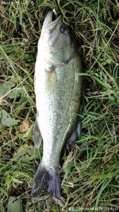 �֥�å��Х�