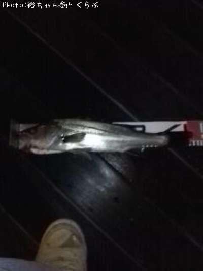 �����Х�