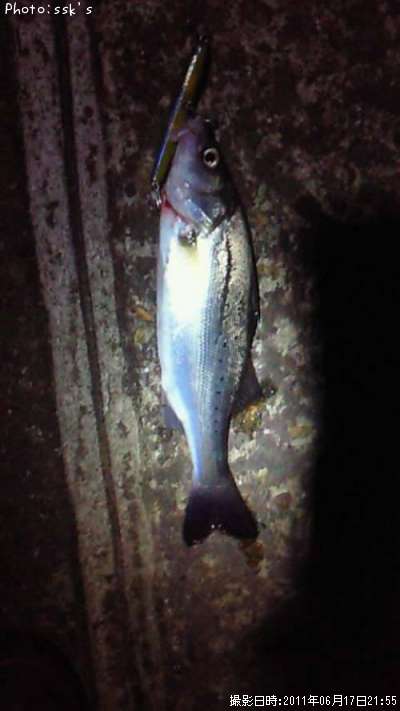 �����Х�