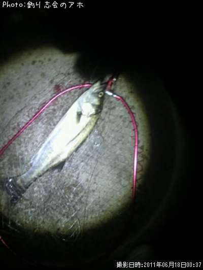 �����Х�