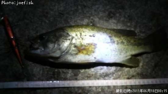 �֥�å��Х�