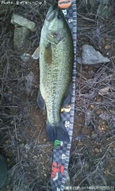 �֥�å��Х�