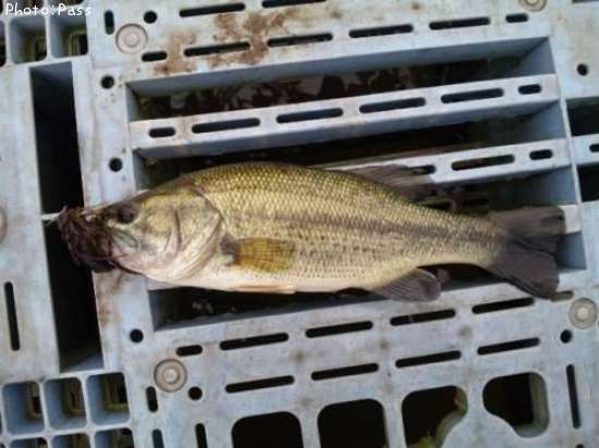 �֥�å��Х�