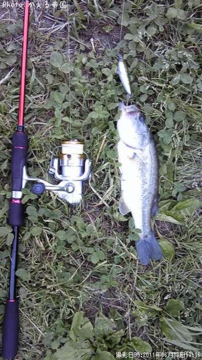 �֥�å��Х�