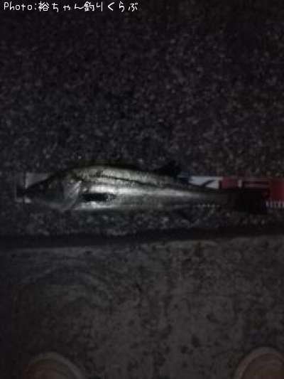 �����Х�