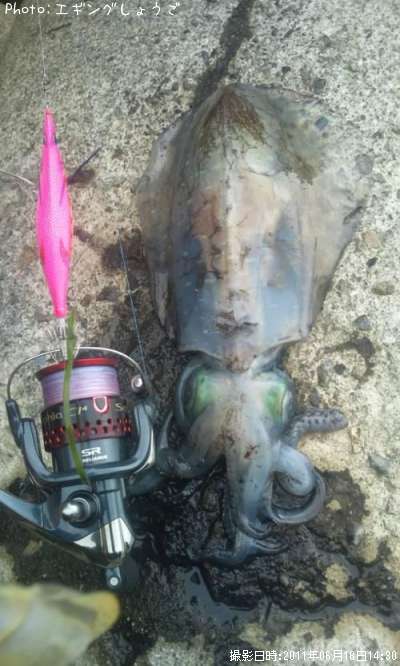 �����ꥤ��