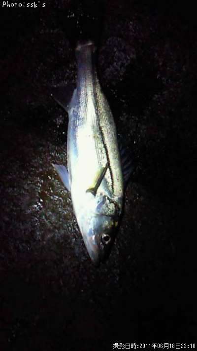 �����Х�