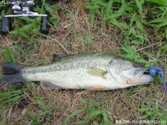 �֥�å��Х�