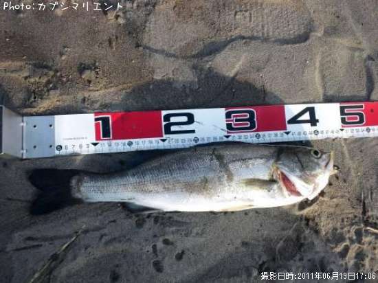 �����Х�