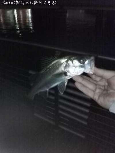 �����Х�