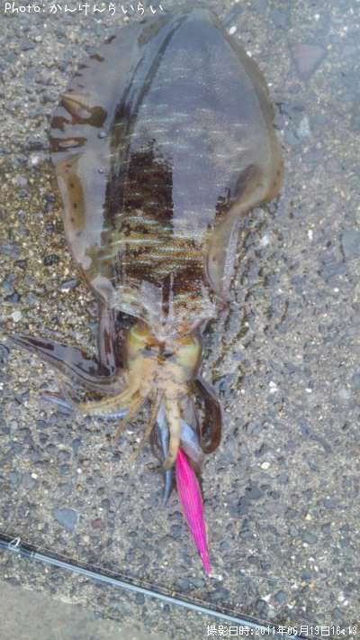 �ߥ�����