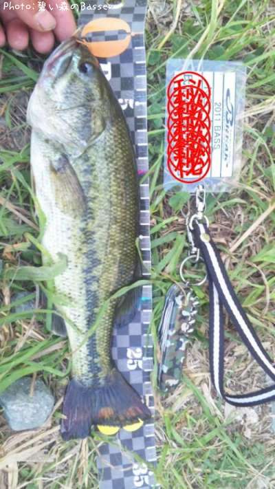 �֥�å��Х�