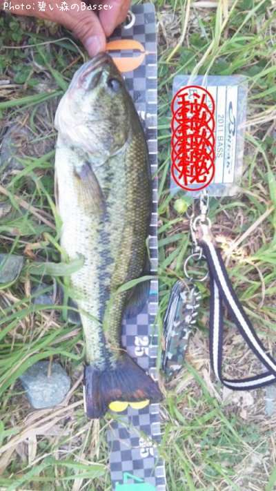 �֥�å��Х�