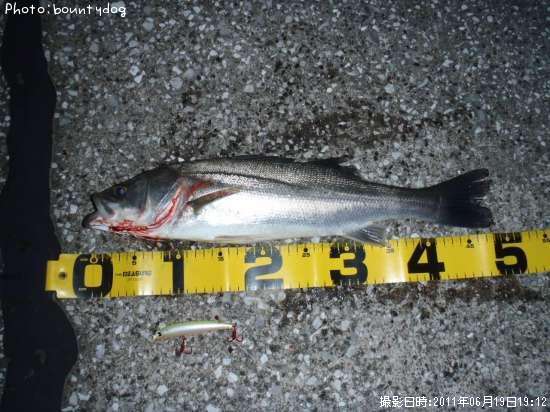 �����Х�