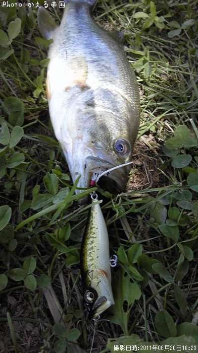 �֥�å��Х�